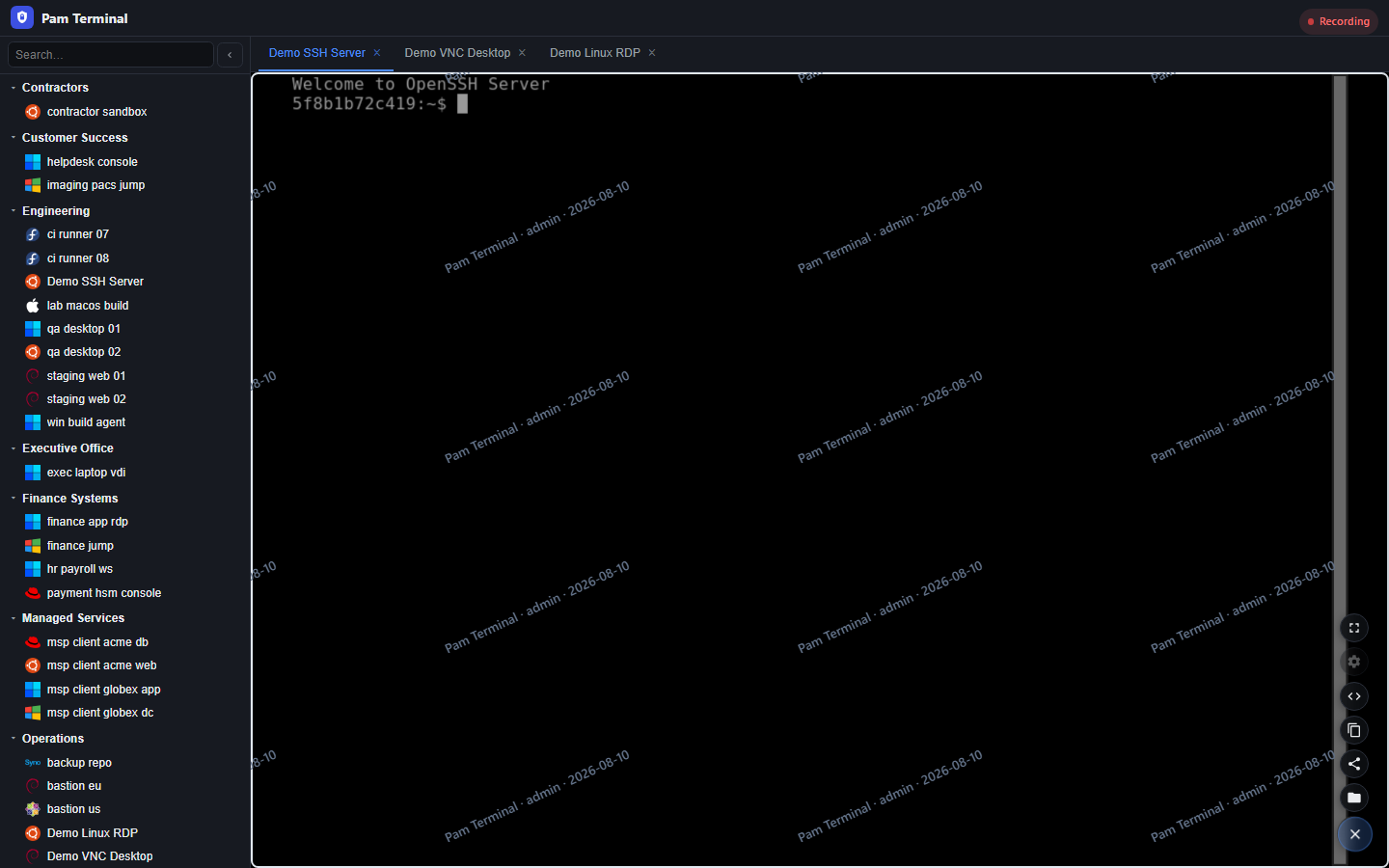 Pam Terminal workspace recording a live multi-tab privileged session